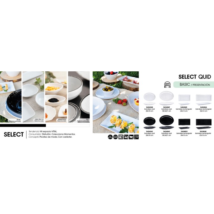 Lot de 24 · Plateau Quid Select Basic Blanc Mélamine 30,5 x 21,2 cm